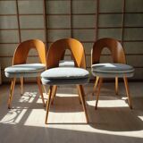 Series of 2 chairs Antonin Suman 60s