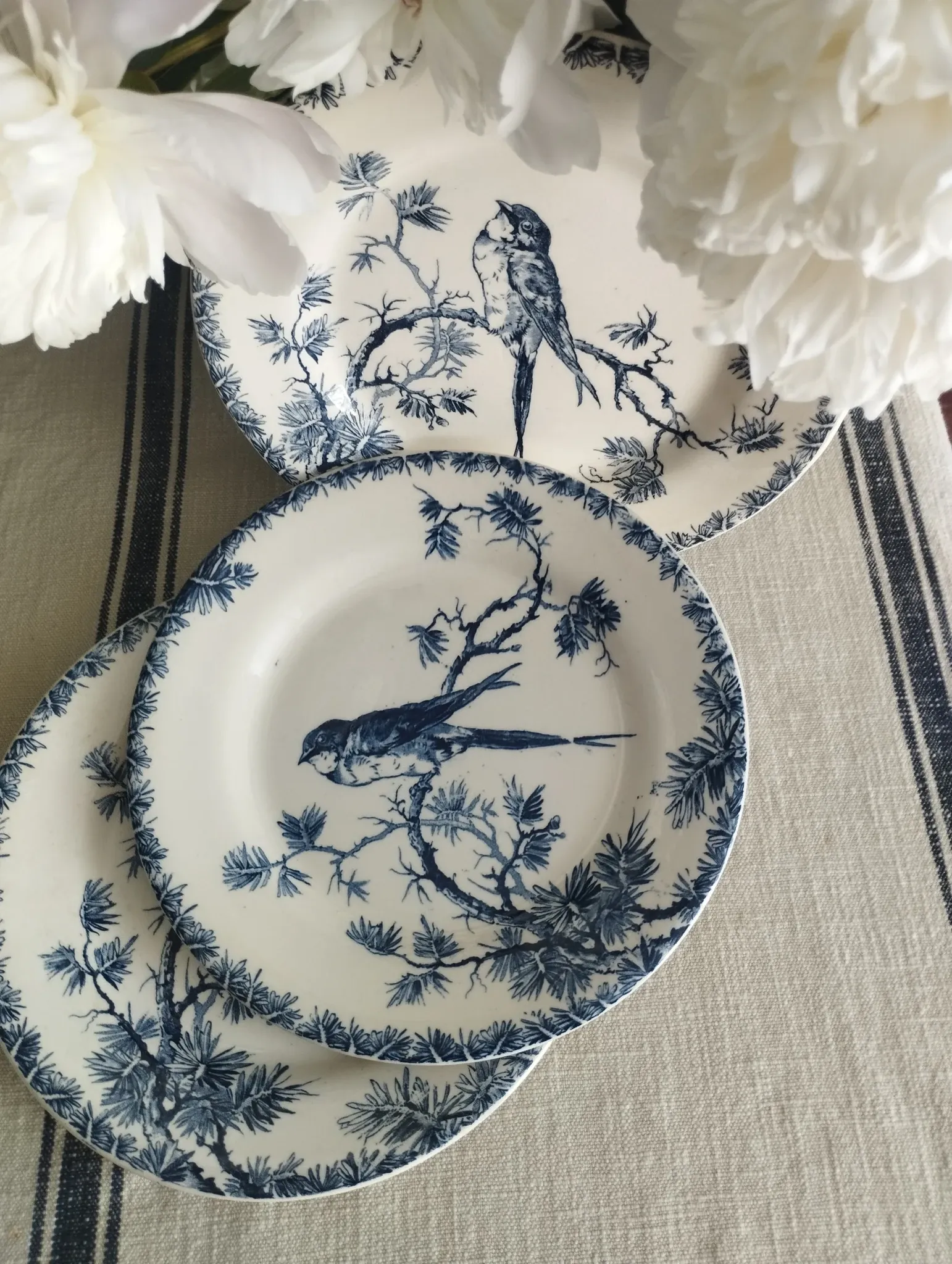 Gien "Provençal" - Set of 3 flat plates Ø 23 cm swallows