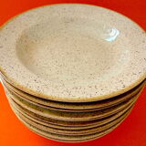 Suite of twelve speckled sandstone soup plates
