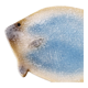 2 empty ceramic fish pockets