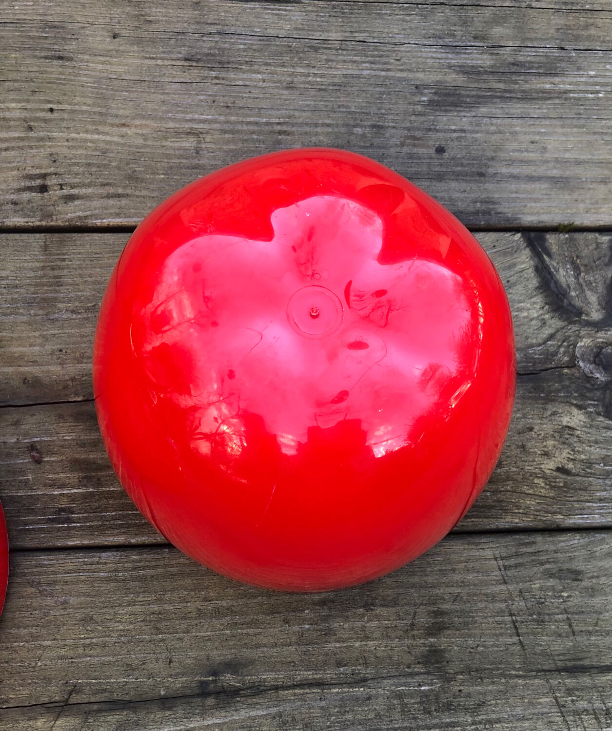 Vintage ice cube apple