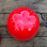 Vintage ice cube apple