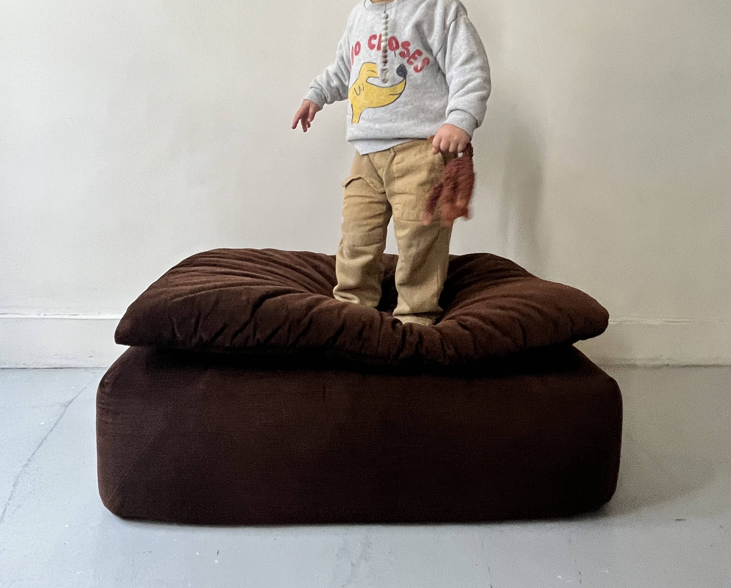 Cinna pouf in brown short velvet, Ligne roset 1970