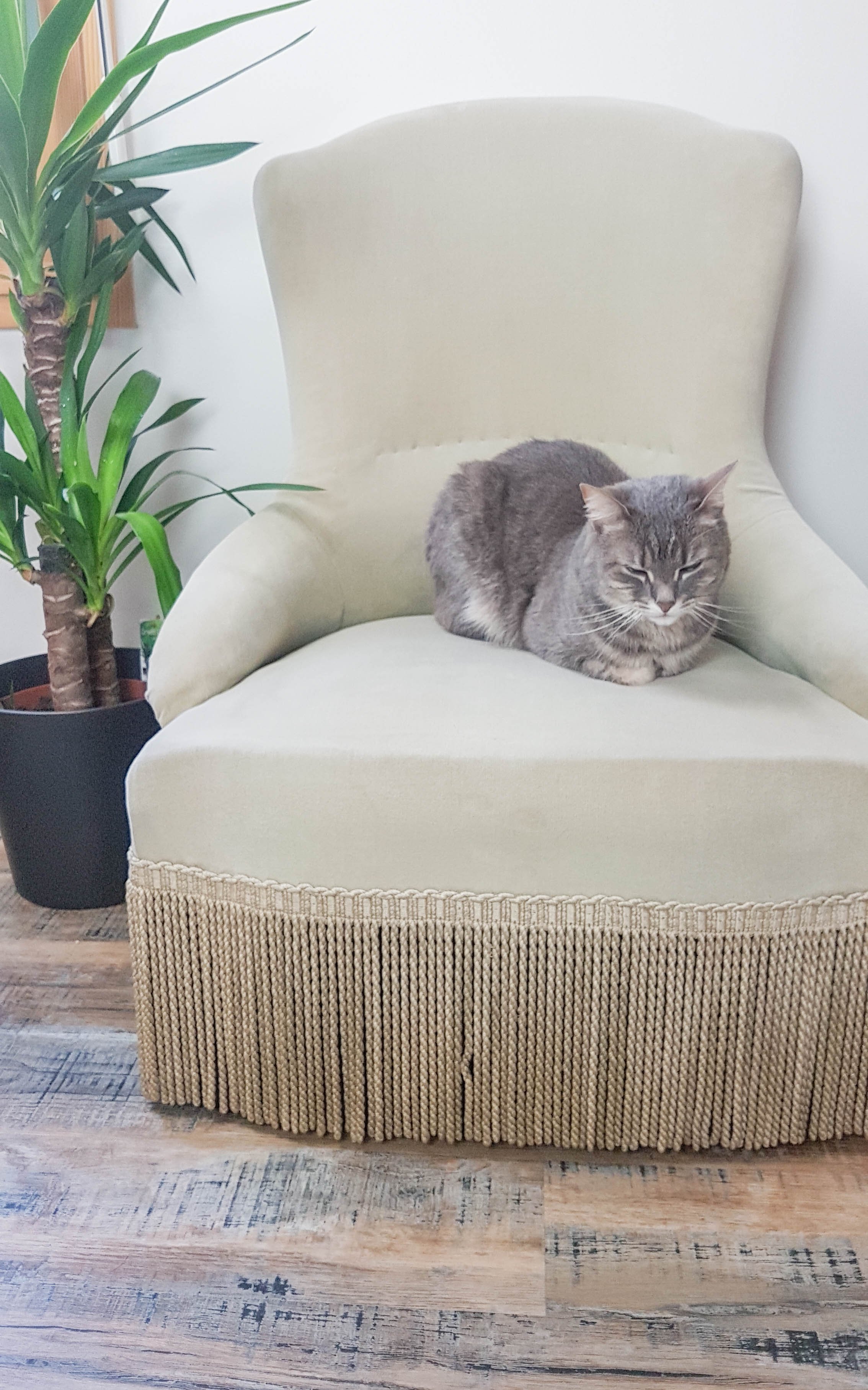 Vintage grey green almond green velvet toad chair