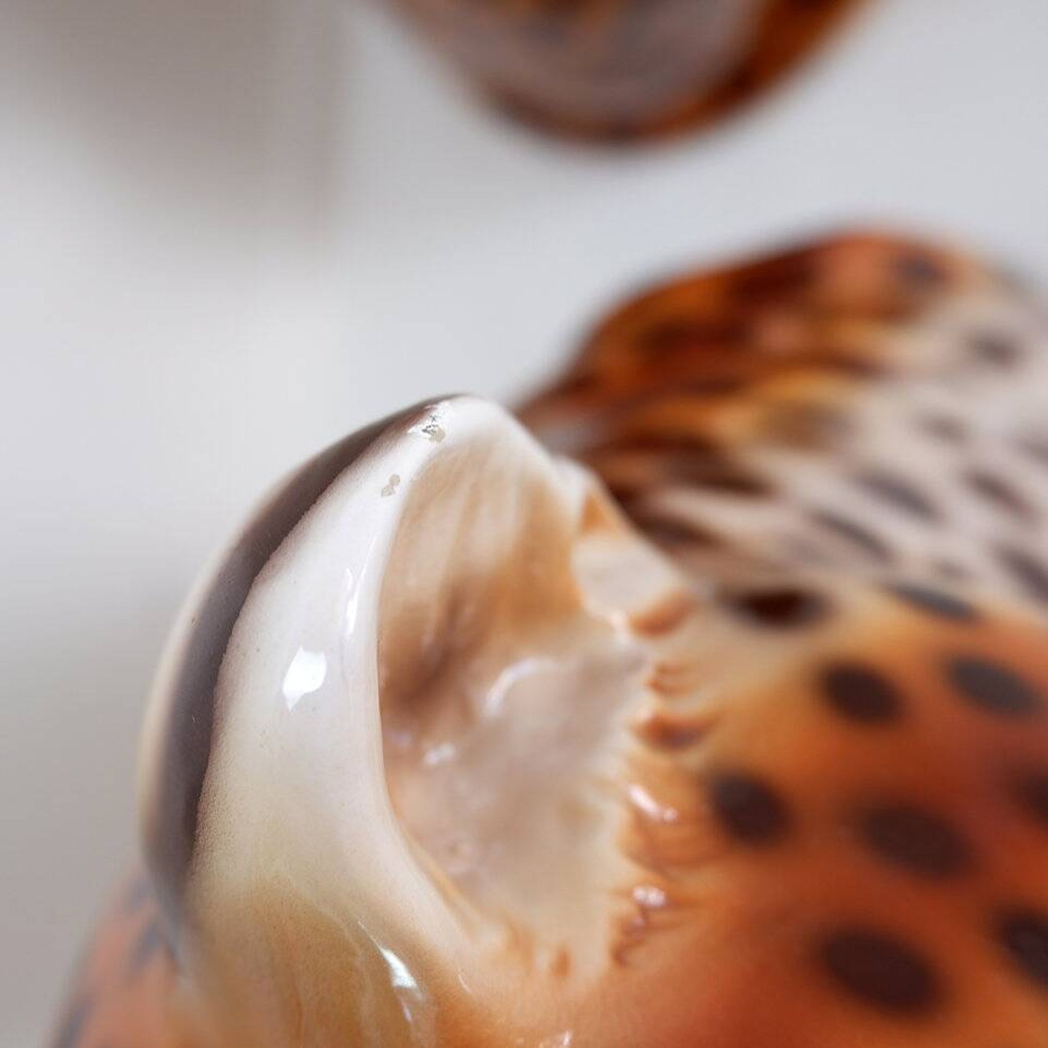 Couple of vintage ceramic leopards sculptures - Italy circa 1980s