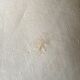 Cloth of linen embroidered setback richelieu figure cp thread Castle