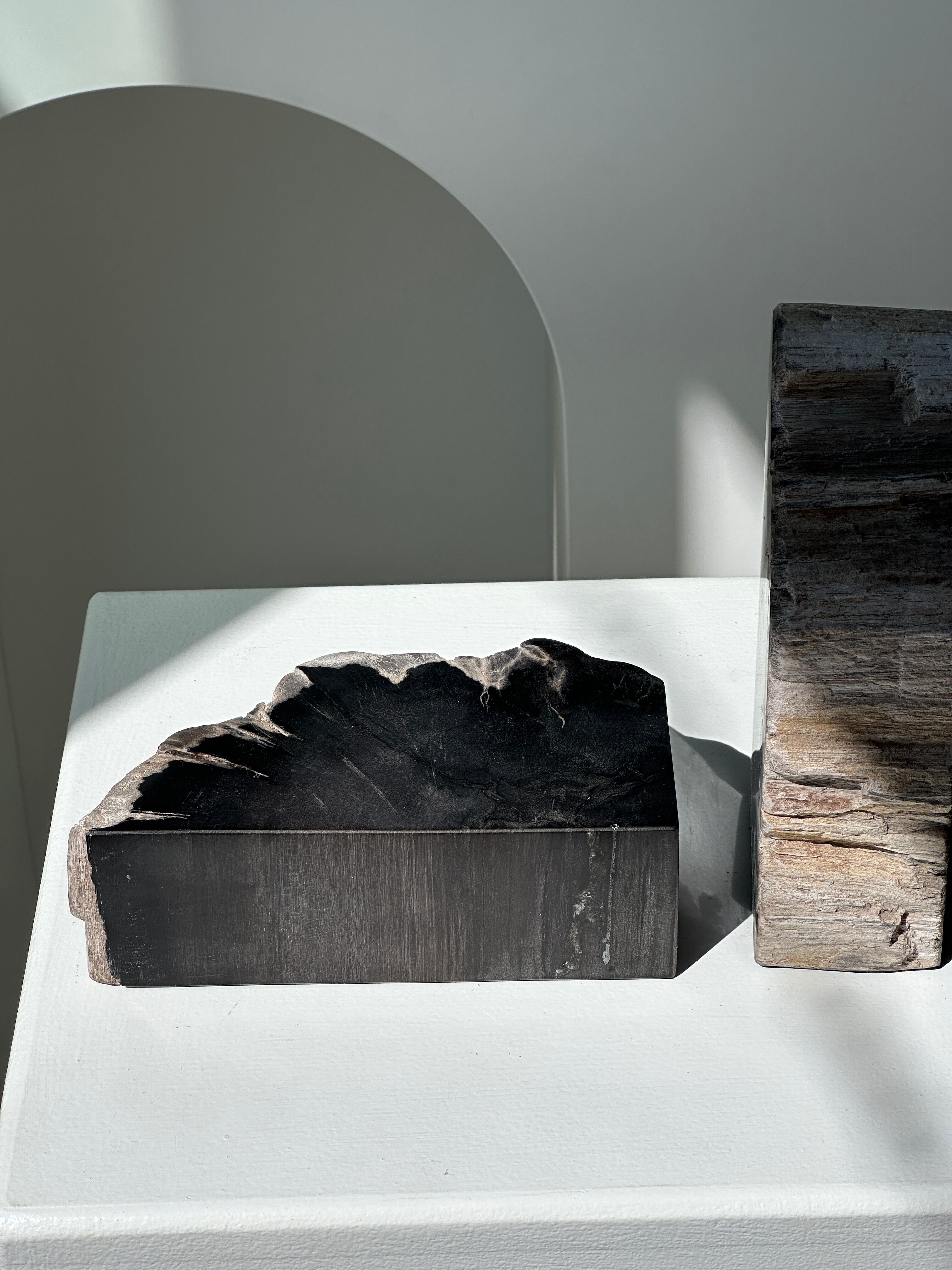 Black petrified wood bookend H17 L17 P6