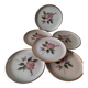 6 vintage stoneware dinner plates – Rosita model by MBFA Pornic