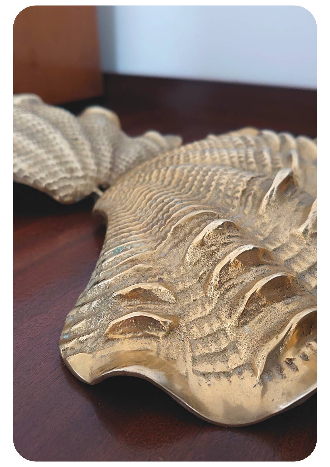 Boîte à coque en laiton moulé