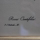 Botanical board framed PJ Dreaded