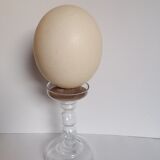 Ostrich egg
