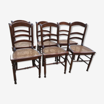 Set de 6 chaises style rustiques en merisier et cannage