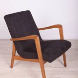 Type 300-138 Beech Armchairs from Bystrzyckie Furniture Factory, 1960s, Set of 2
