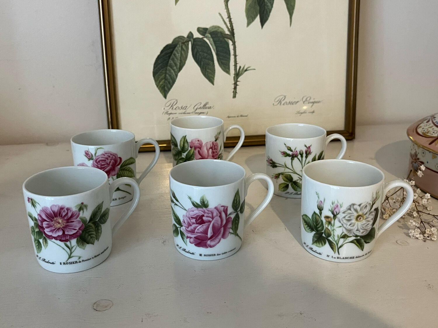 Porcelain cups rose pattern