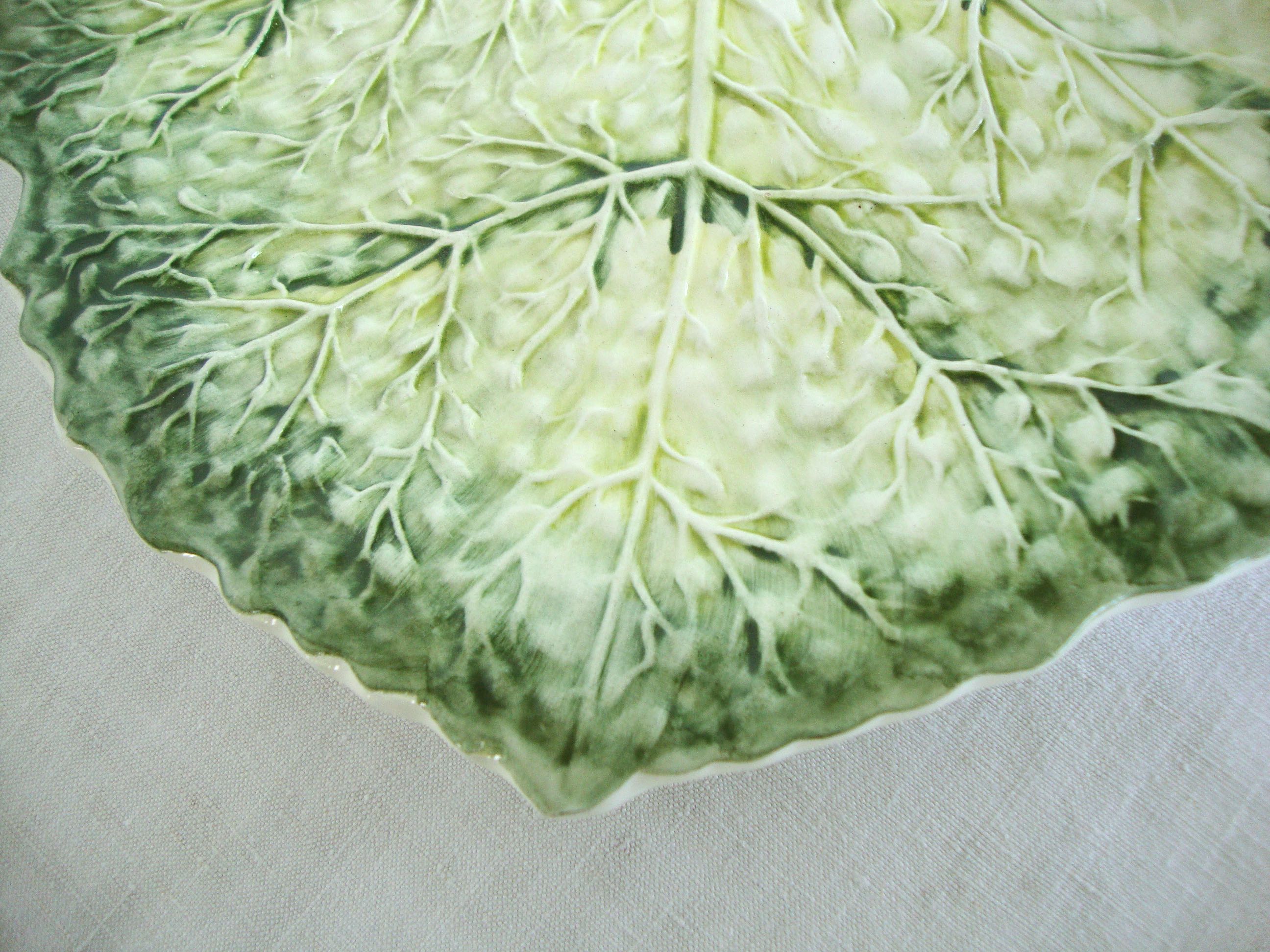 Flat cabbage leaf