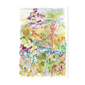 Jardin du Sud