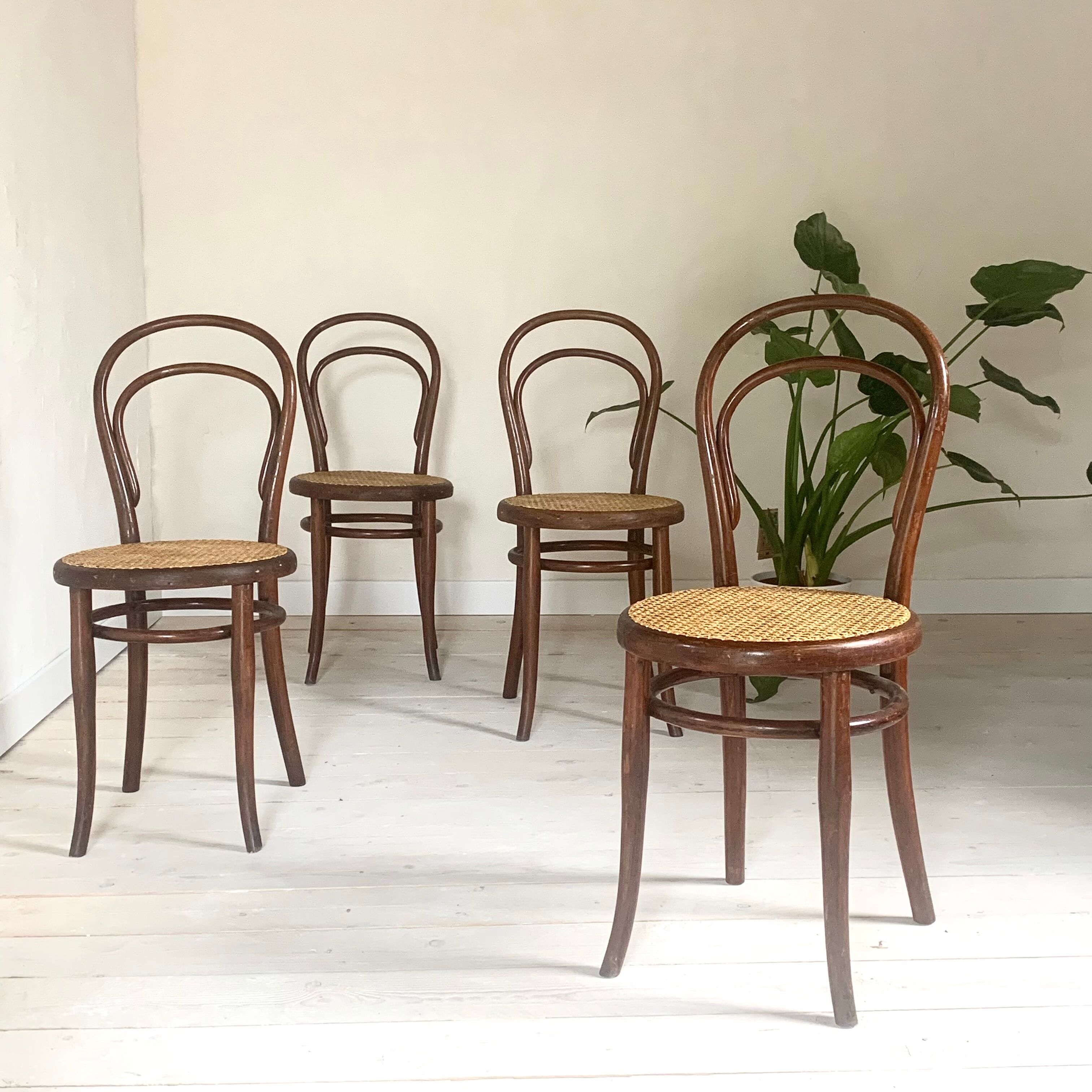 Antique Thonet chairs late 19th century Model 14
