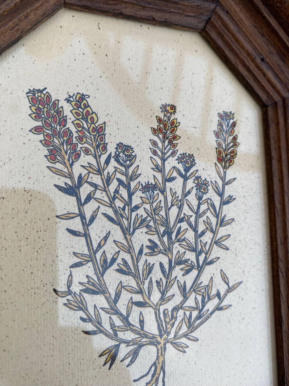 Duo botanical boards