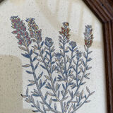 Duo botanical boards