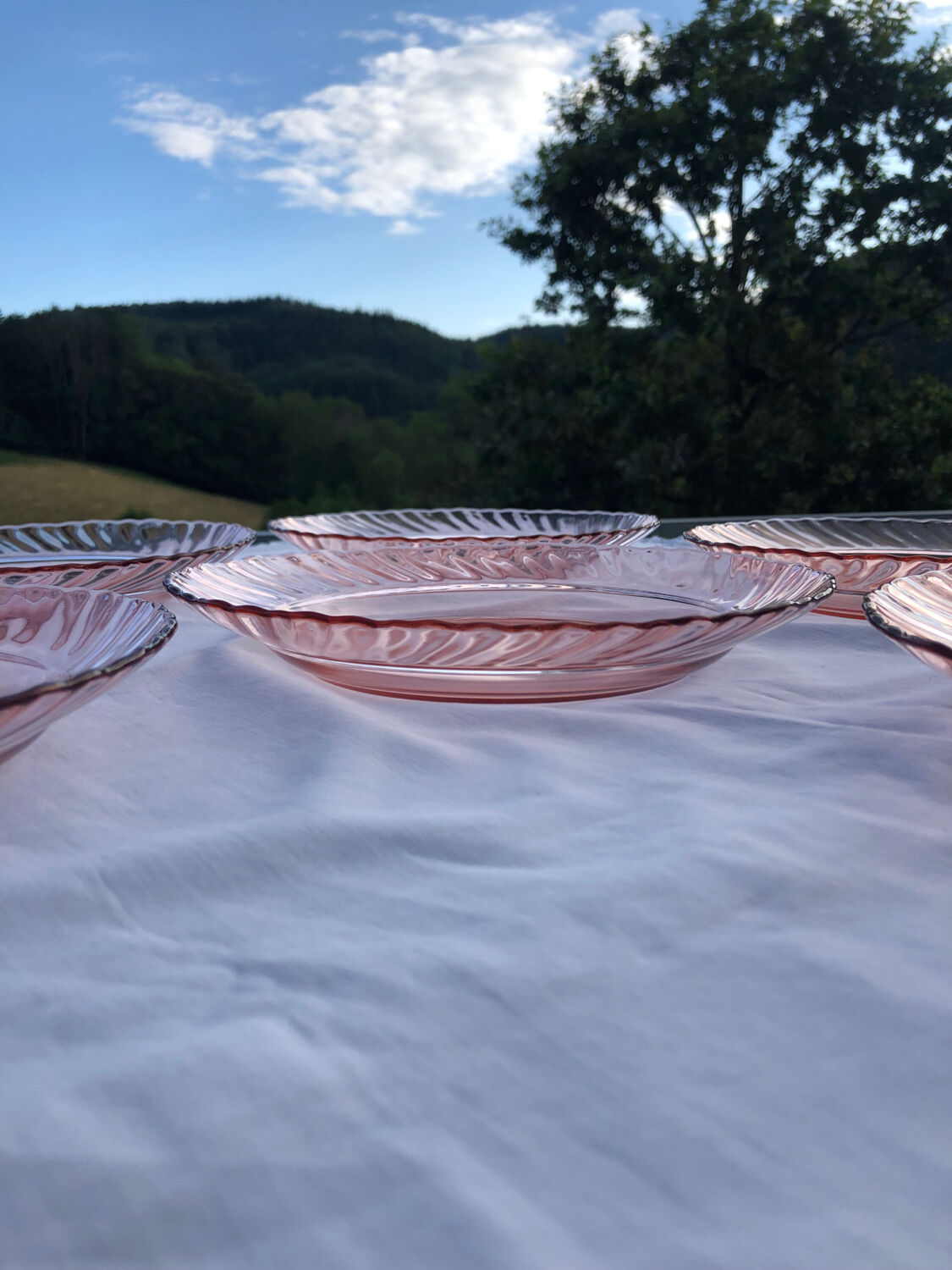 Lot 6 hollow plates Rosaline