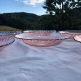 Lot 6 hollow plates Rosaline