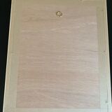 Profile portrait of Napoleon Bonaparte 1st Consul