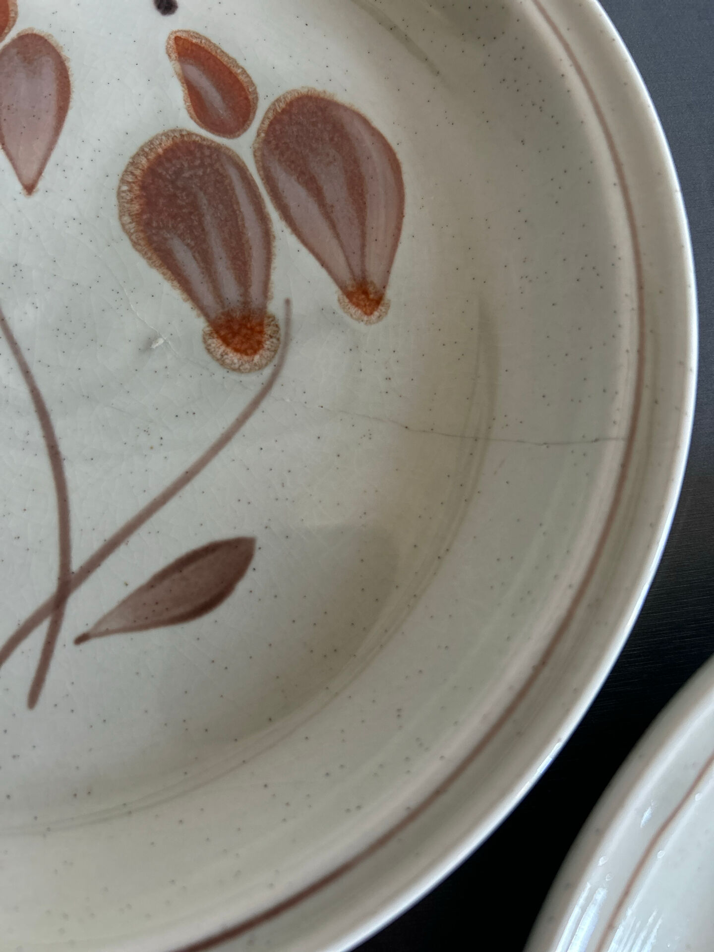 Assiettes en grès mat