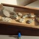 Old sloping pine display case