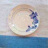 Assorted 18 old blue plates