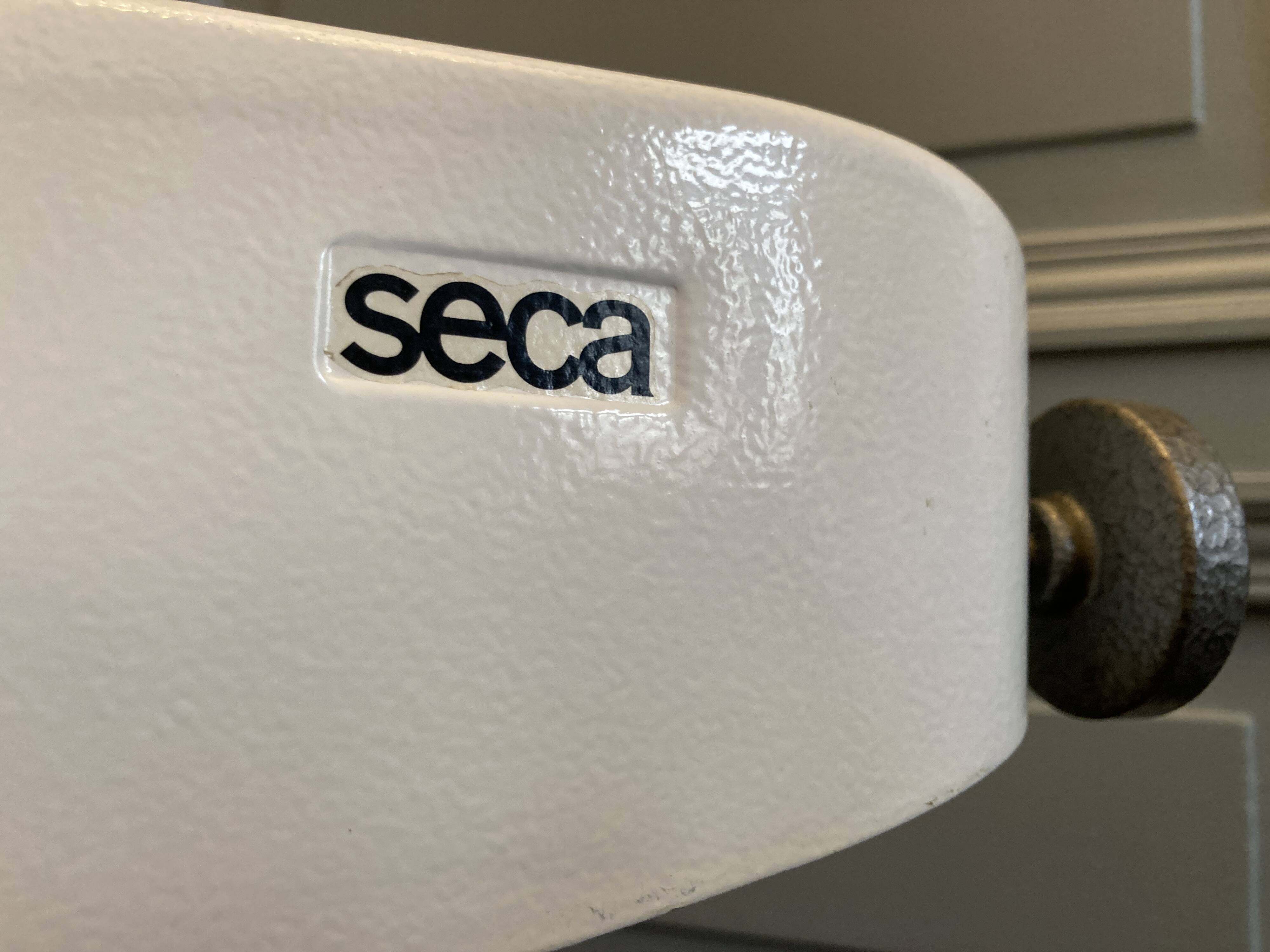 Personal scale and medicine measuring rod