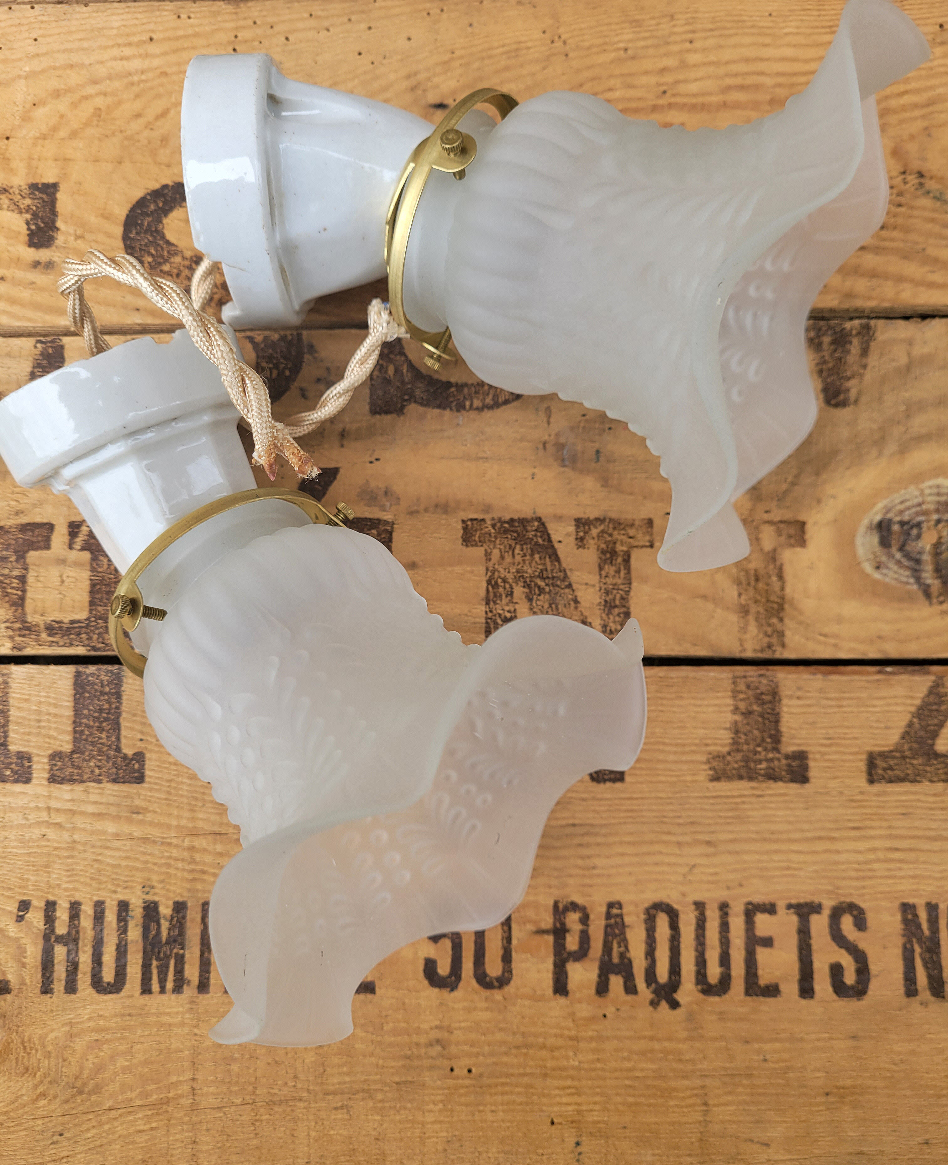 Pair of tulip and porcelain sconces