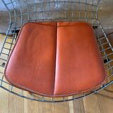 Chairs by Harry Bertoia 1960