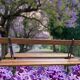 Antique double garden bench from the city of Paris in cast iron and wood