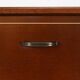 Commode vintage de la série Formula de Kempkes Meubelen, vers 1910
