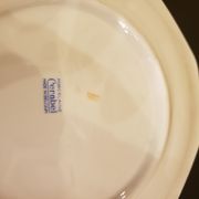 11 porcelain plates 12 sides bordered small flowers