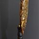Cabinet of Curiosities haptosquilla trispinosa squille on pedestal