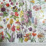Lithograph on flowers from 1928 (amaranth)