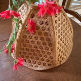 Flower hanging lamp in canning