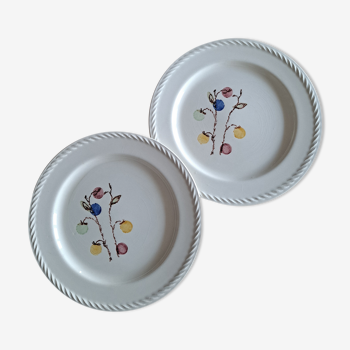 Duo d assiettes baies tendres