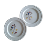 Duo d assiettes baies tendres