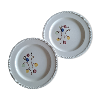 Duo d assiettes baies tendres