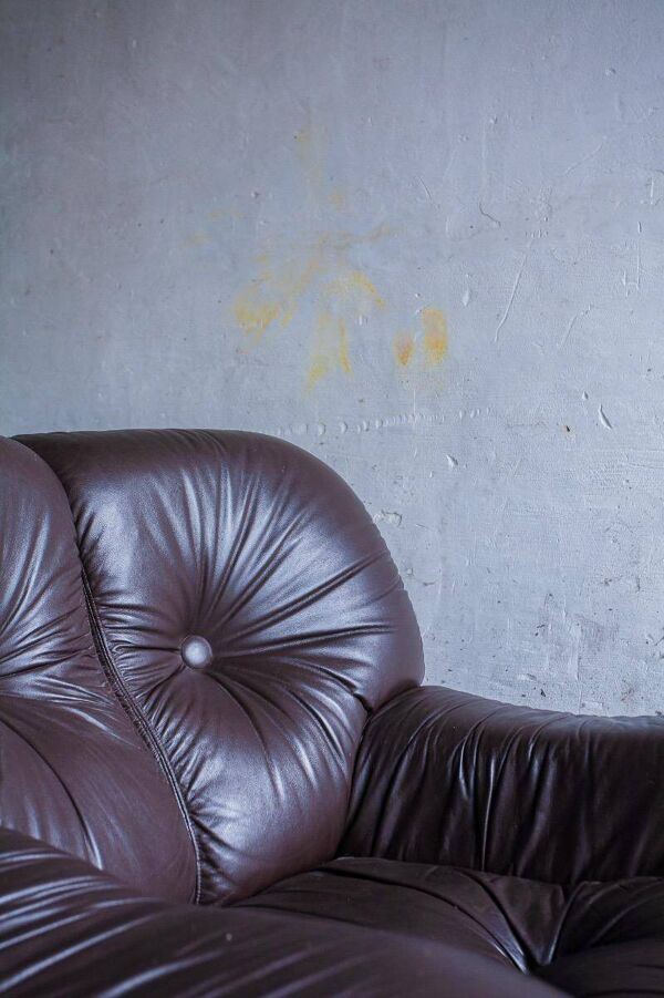 Ensemble de 2 fauteuils club en cuir marron foncé style Mid-Century — capitonnés, formes arrondies, design futuriste