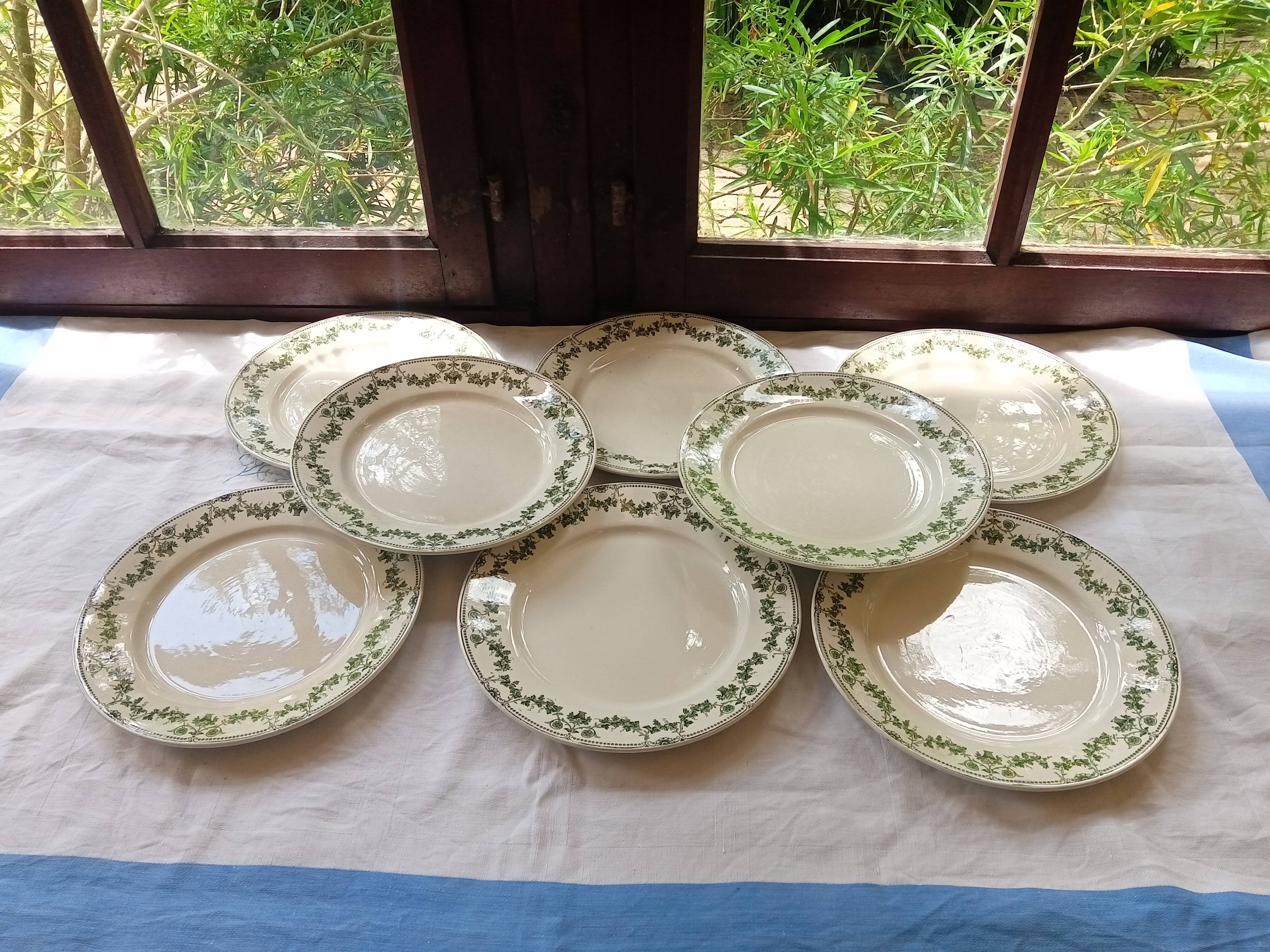 8 plates flat Champagne Salins