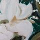 Huile sur toile « Motifs floraux » par Eila C, Suède milieu XXème