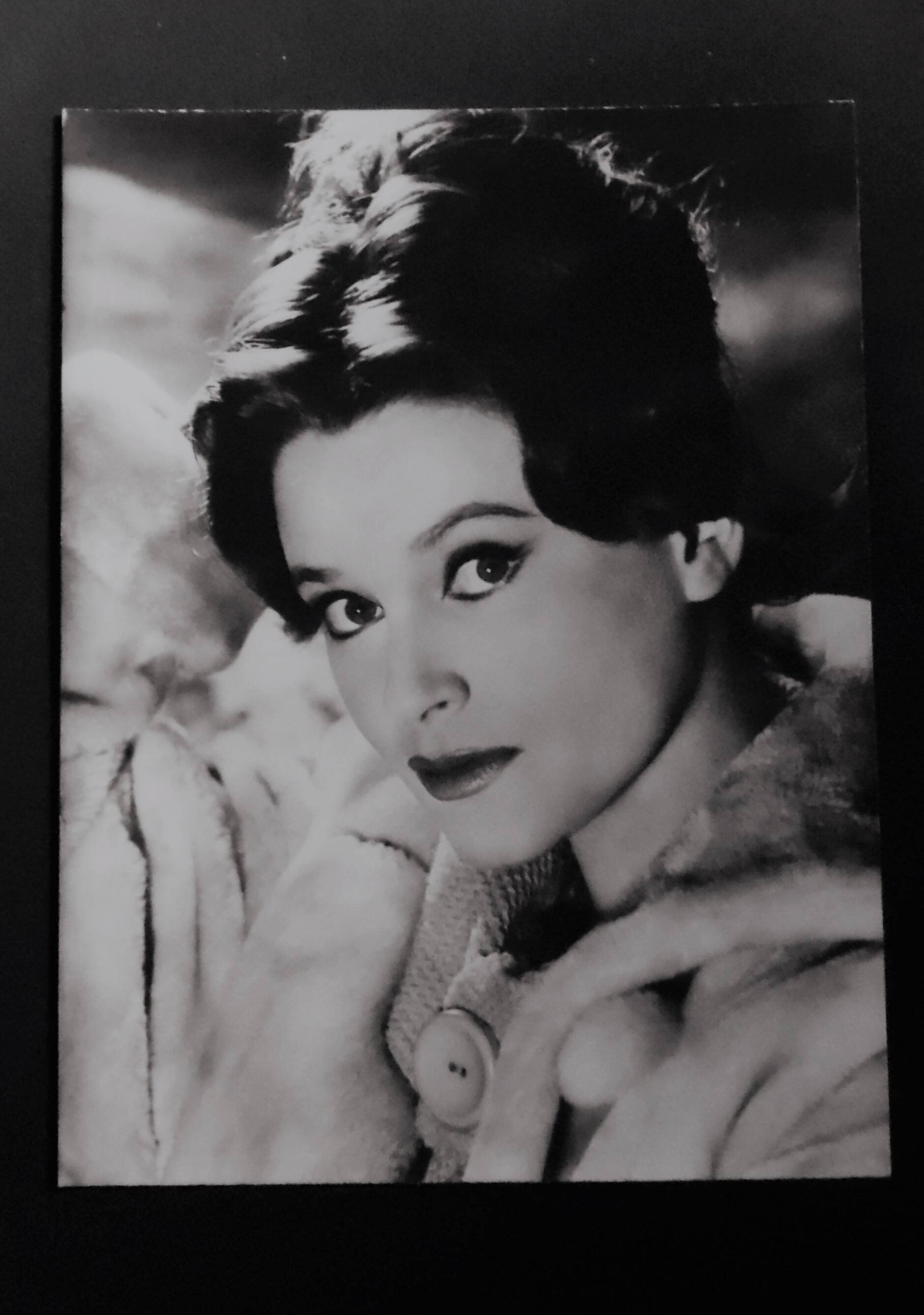 Original photograph of "Béatrice Altariba" 1960s