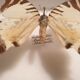 Showcase frame 8 butterflies of the world naturalized vintage 1970's