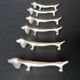 6 knife holder silver metal dog