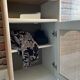 Entrance furniture