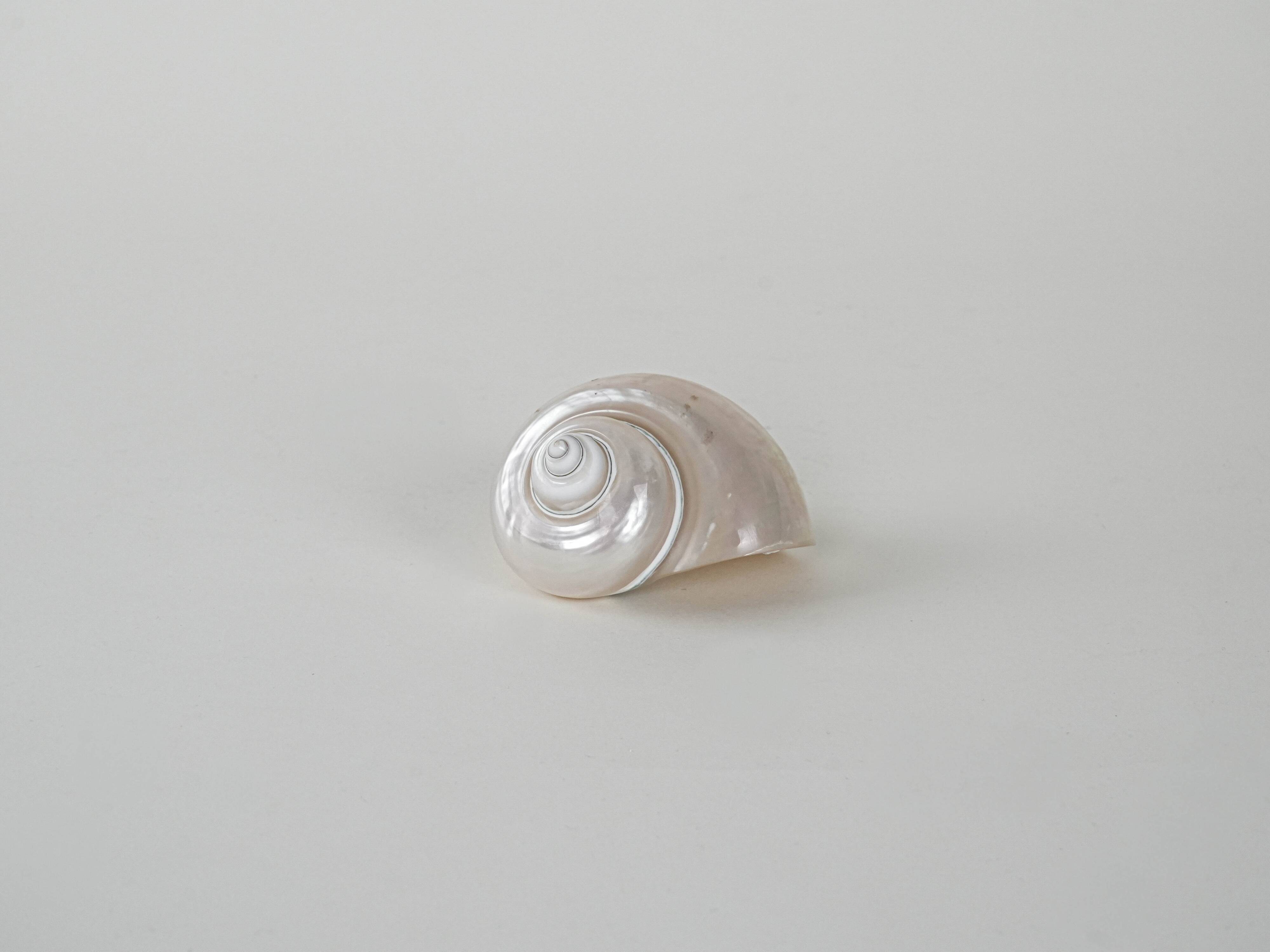 Mother-of-pearl seashell, Italian design, 1970s, made in Italy