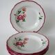 Set of 7 Salins soup plates with serrated edges with flowers 1950